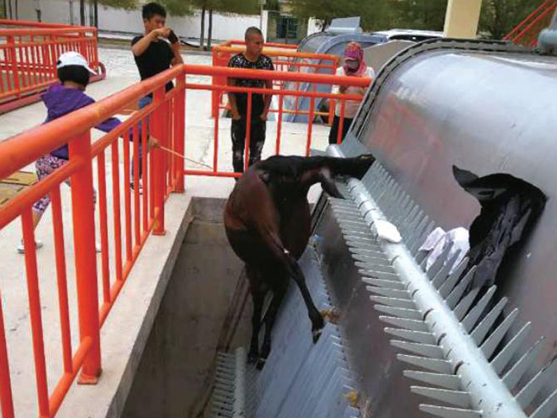 �½� ������� ��վ���ۻ�